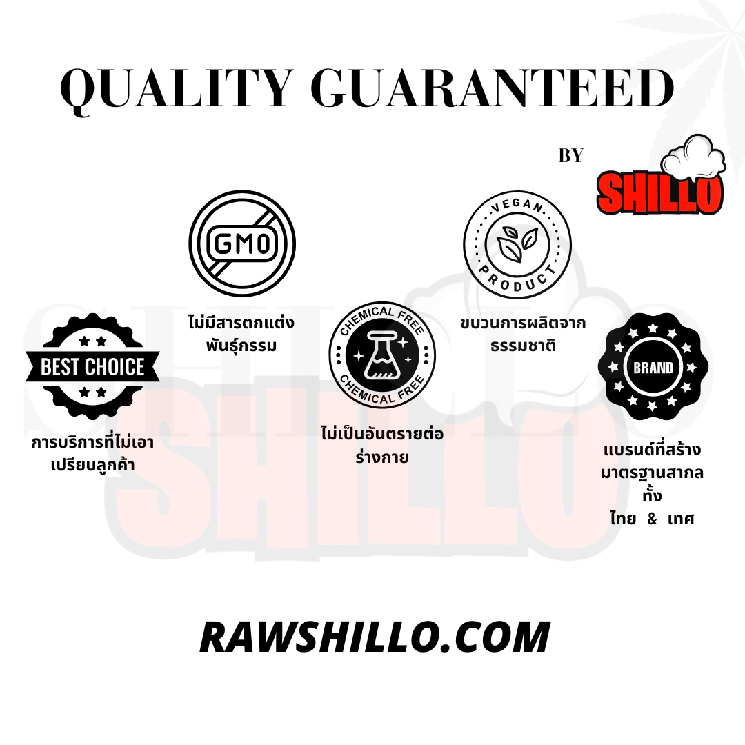 กระดาษโรลพันสำเร็จ SHILLO Mini Size 78มม 50 ชิ้น Natural Pre Rolled Cone